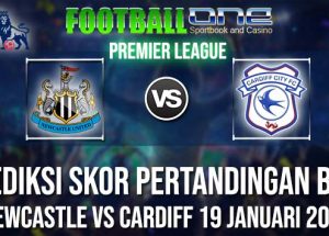 Prediksi NEWCASTLE vs CARDIFF 19 JANUARI 2019 PREMIER LEAGUE